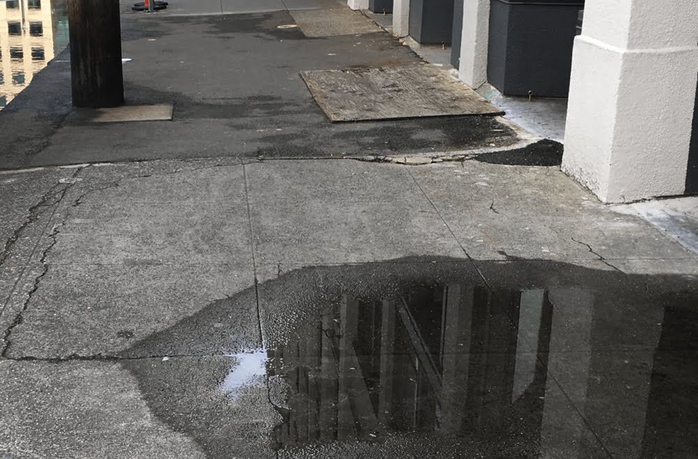 Commercial exterior cleaning service showcasing a wet pavement with reflections, emphasizing cleanliness and maintenance of urban surfaces.